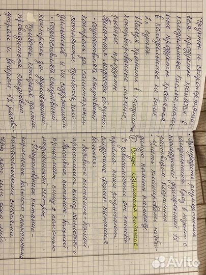 Пишу лекции, конспекты