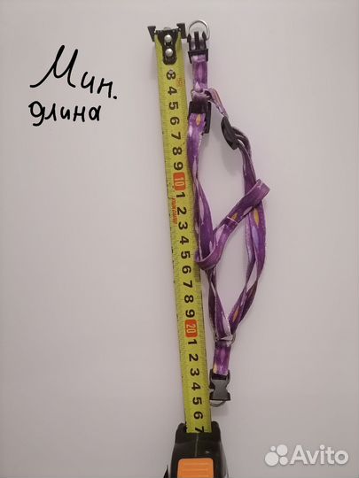 Шлейка и поводок