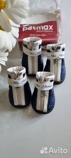 Обувь для маленьких собак