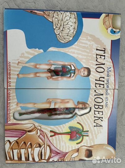 Детская энциклопедия