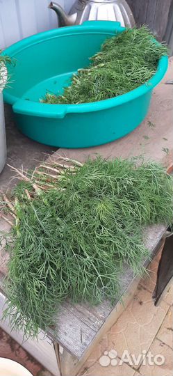 Зелень с грядки