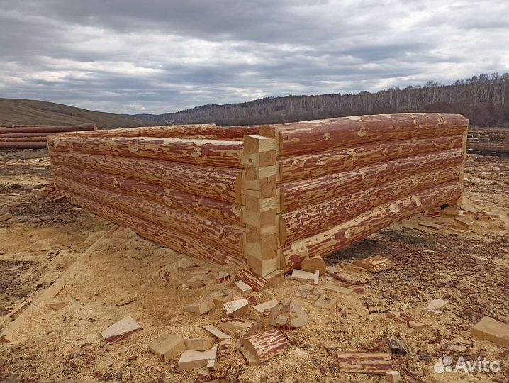 Срубы Бань, Сборка, Доставка