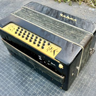 Шуйская гармонь чайка