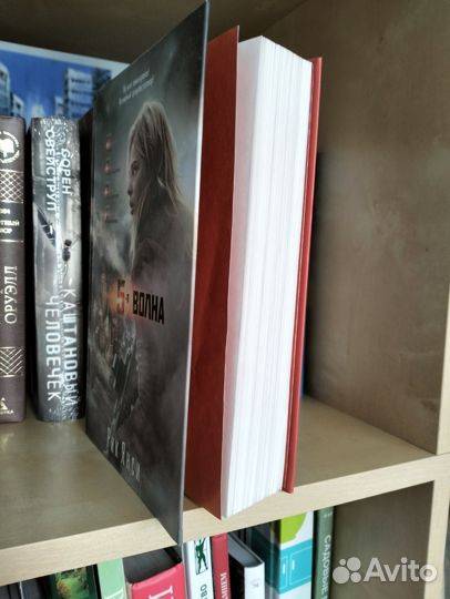Книга 
