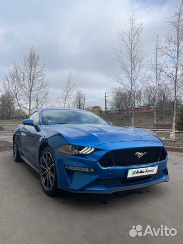 Ford Mustang 2.3 AT, 2019, 49 000 км с пробегом, цена 2990000 руб.