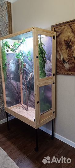 Клетка, террариум, вольер для птиц