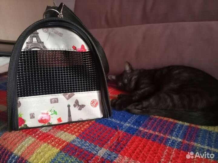 Переноска для кошек и маленьких собак