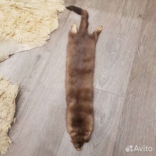 2 шкурки норочек - животик и спинка