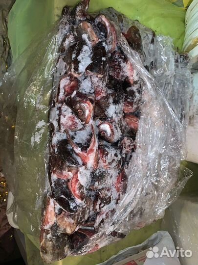 Рыбные отходы для животных