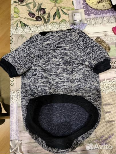 Одежда для маленькой собачки