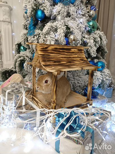 Кормушка для птиц