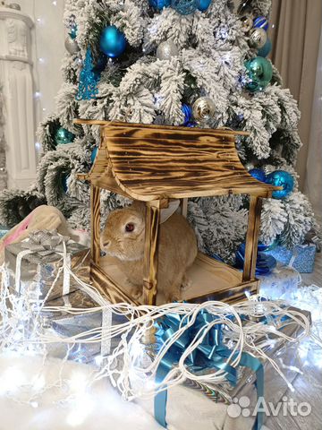 Кормушка для птиц