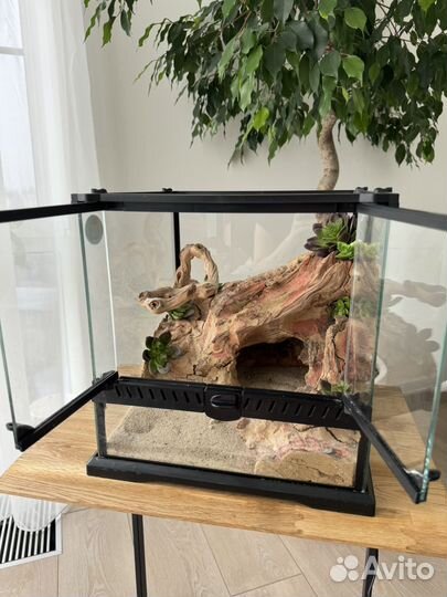 Террариум для эублефара бу
