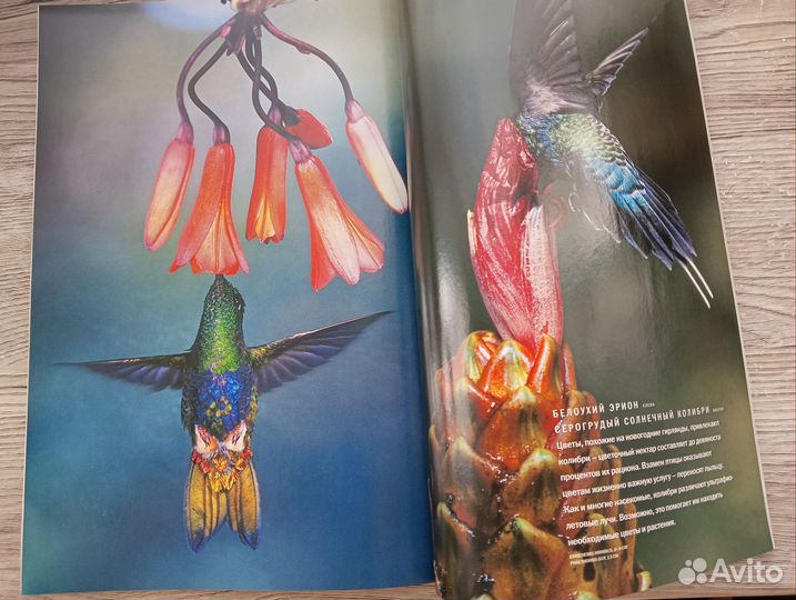 Старые глянцевые журналы каталоги разные