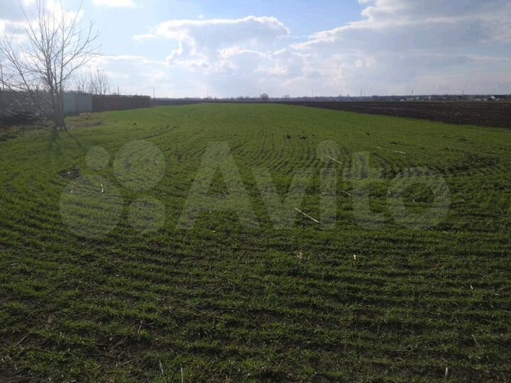 Участок 25 сот. (ИЖС)