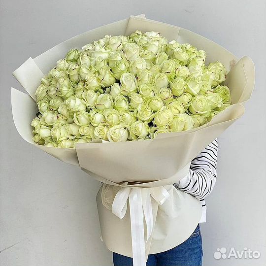 101 роза 51 роза Цветы