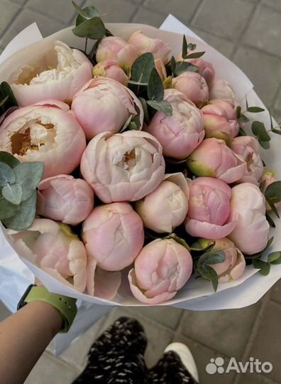 Пионы букет из пионов доставка 24/7 Цветы