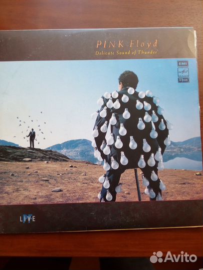 Pink floyd Delicate Sound of Thunder Vol.1 + Vol.2