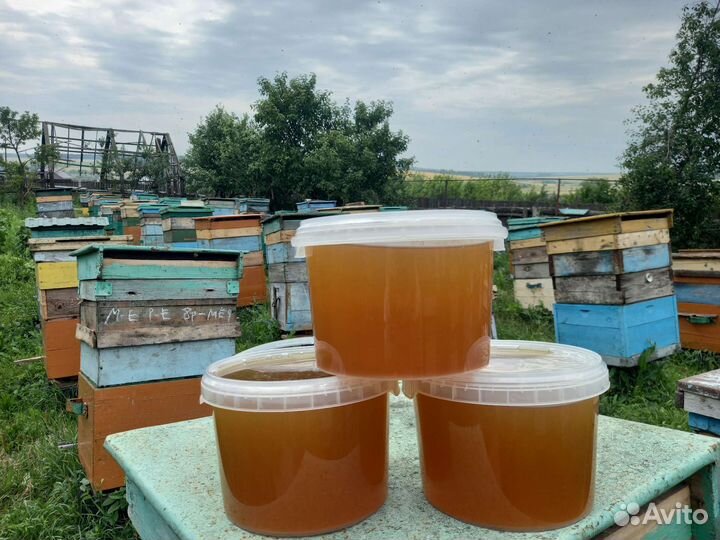 Мёд натуральный 2023 года с доставкой