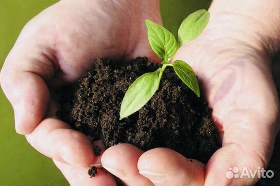 Чернозём Рязанский Земля плодородная sa*53