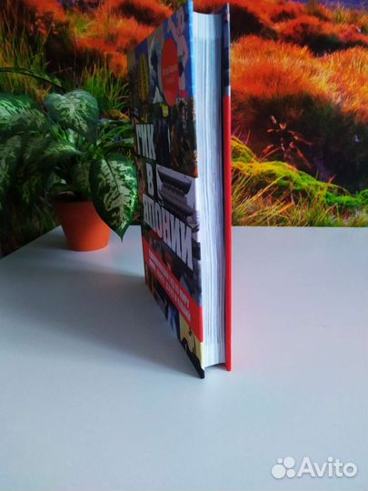 Аниме. Манги. Дзен. Каваий. Гик в Японии. Книга