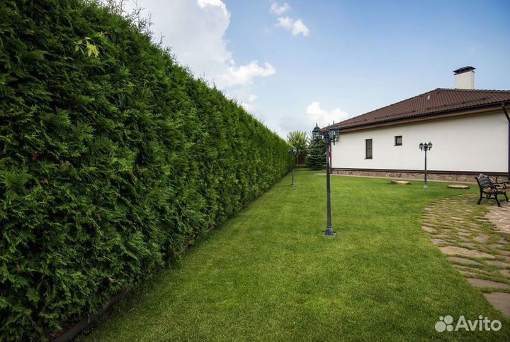 Рулонный газон Premium. Доставка, укладка