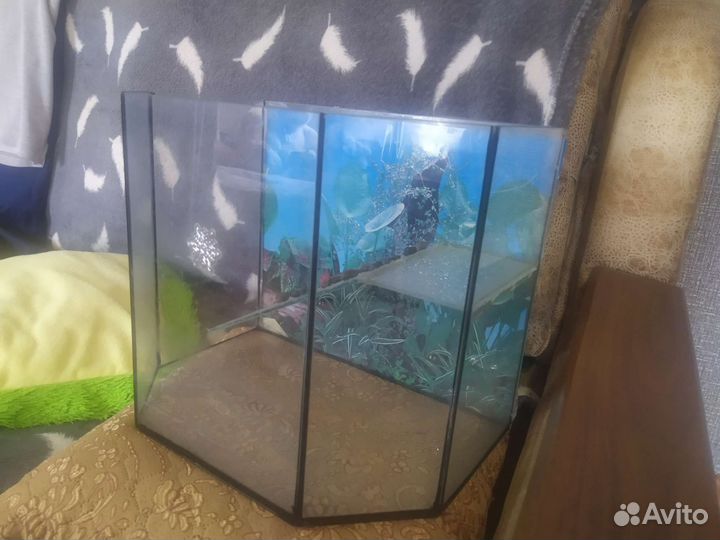 Аквариум для красноухой черепахи 15 литров