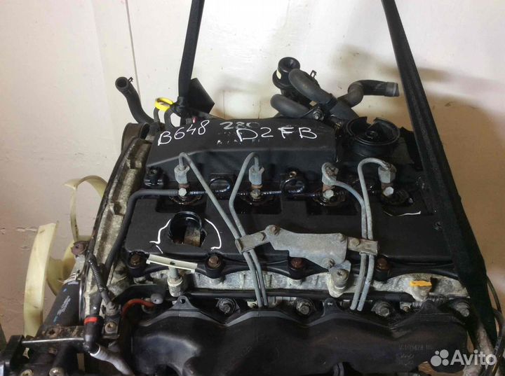 Двигатель Ford Transit 2005 D2fb 2.4 дизель