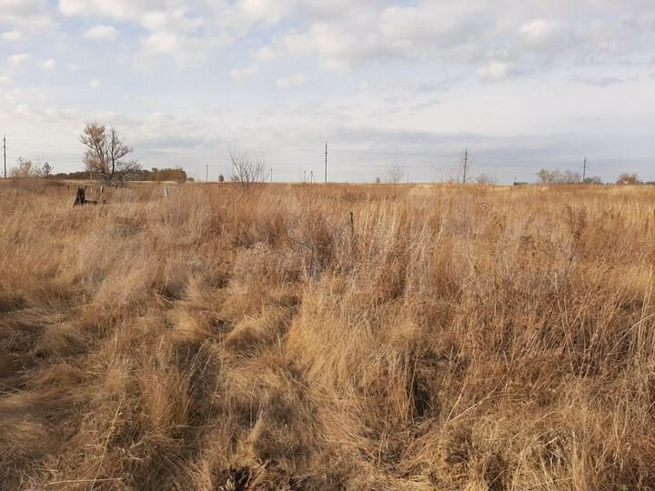 Участок 17,3 сот. (ИЖС)