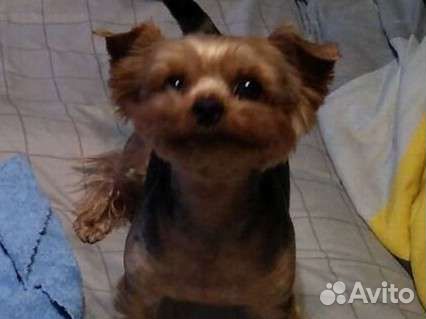 Ерк