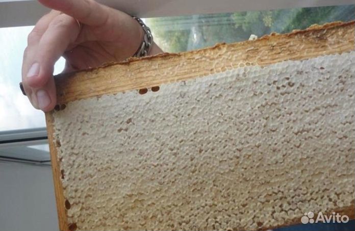 Мед натуральный из Алтая оптом минимально 16 кг