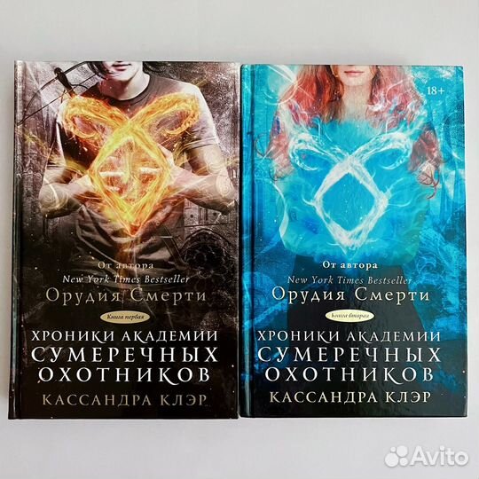 Хроники академии сумеречных охотников (2 книги)