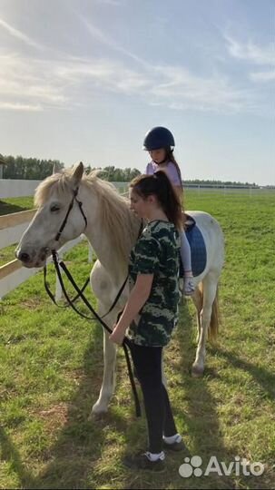 Верховая езда (прогулки и обучение)