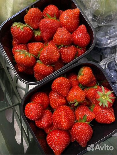 Клубника, малина, земляника, голубика