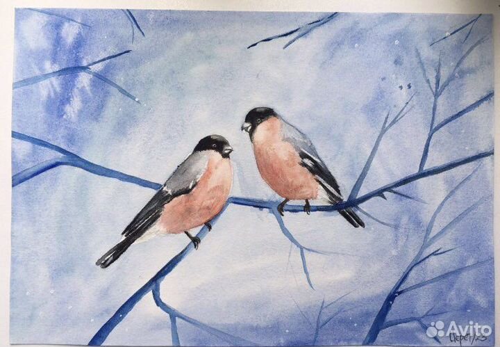 Этюды акварелью птицы: Синицы, снегири и др