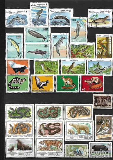 Марки Фауна. Часть 2