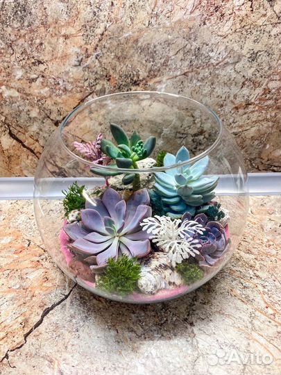 Флорариум ваза цветы букет подарок суккуленты