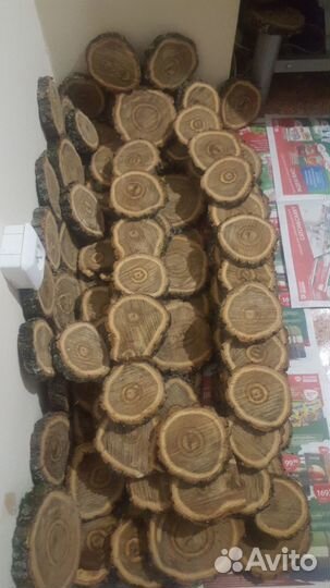 Спилы деревьев