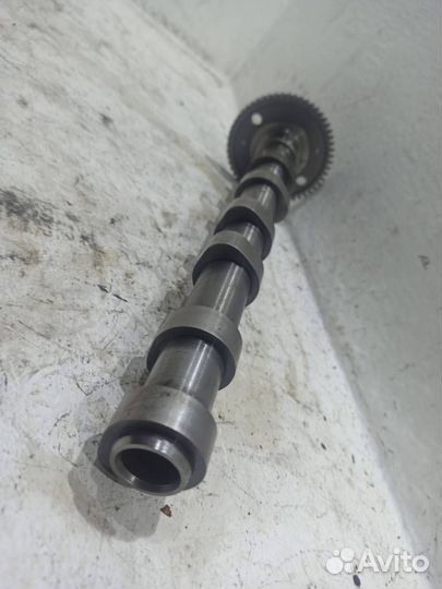 Распредвал впускной Джип