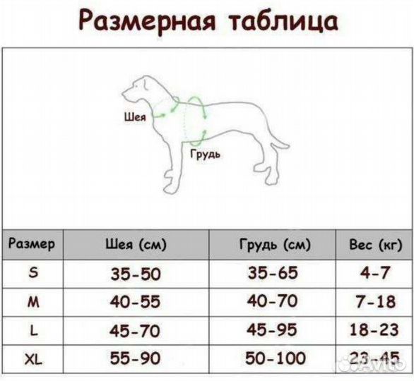 Амуниция, одежда для собак