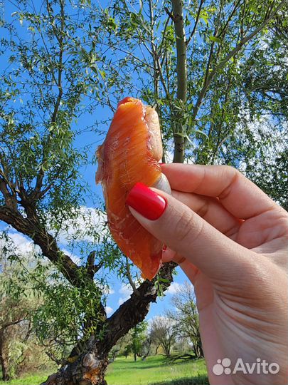 Астраханская икра вяленая воблы