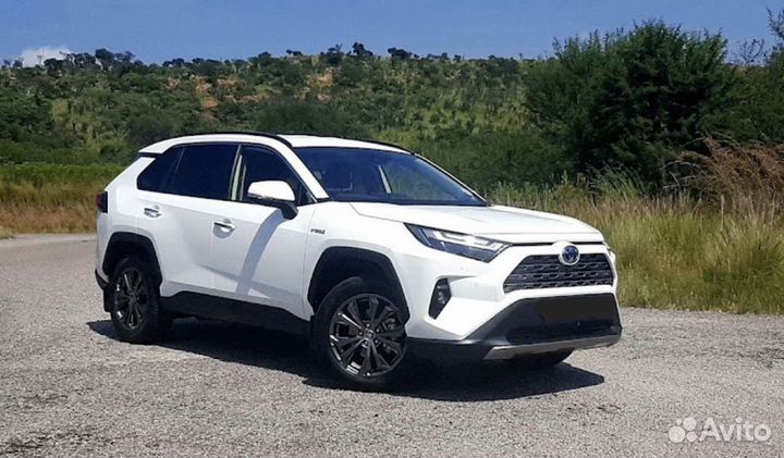 Трансфер Такси Брянск Внуково Москва Анапа Крым