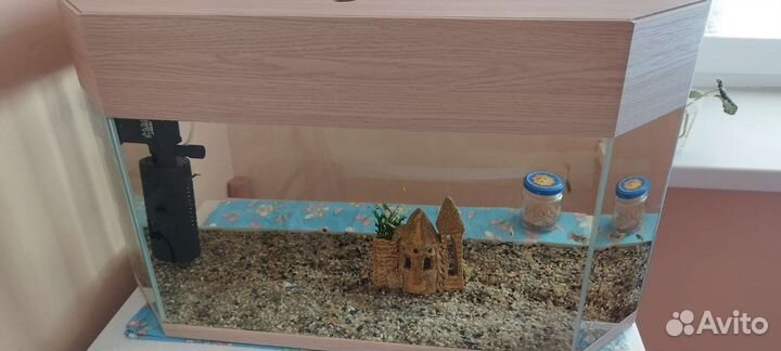 Аквариум с рыбками