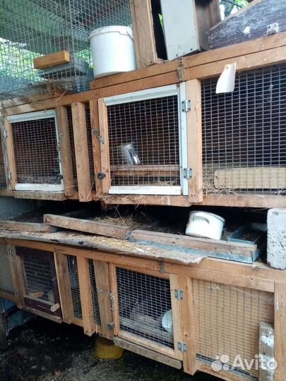 Клетки для кроликов