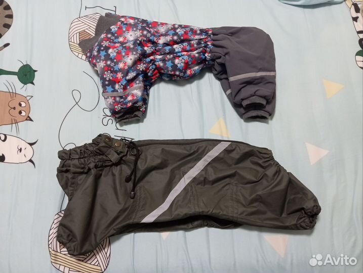 Одежда для средних собак