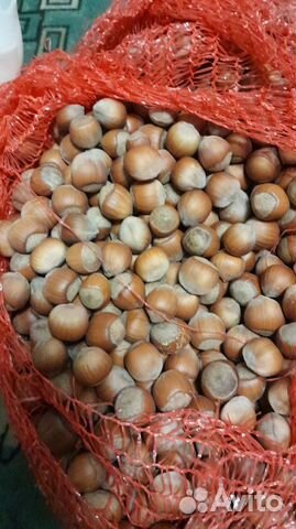 Орех фундук