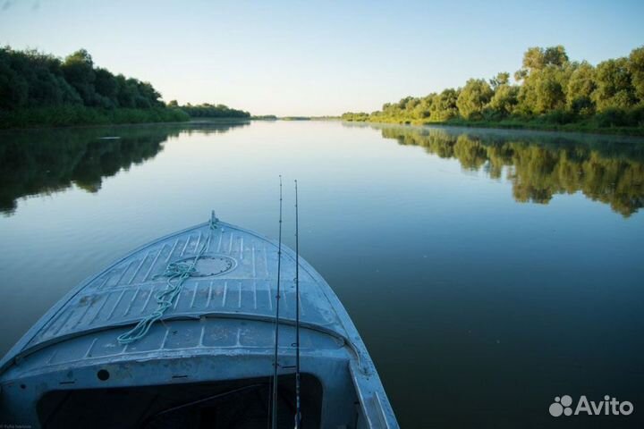 Экскурсии на Лотосовые поля (лотосы) в Астрахани