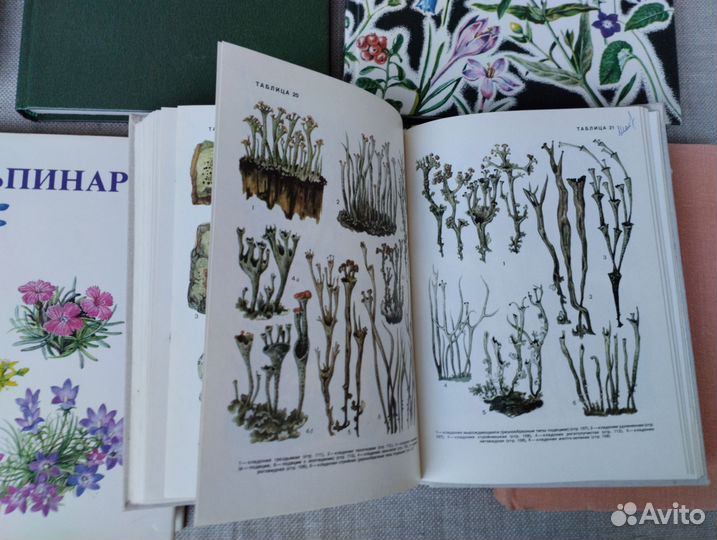 Книги о лекарственных растениях, грибах