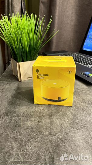 Яндекс станция алиса лайт lite не вскрывалась