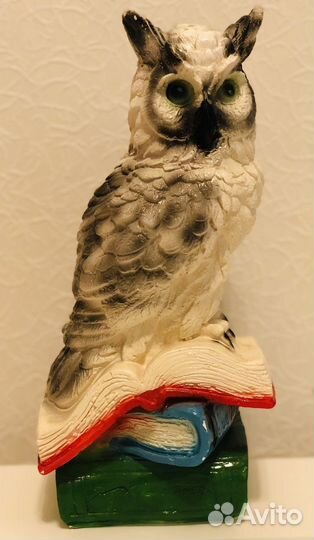 Копилка сова новая